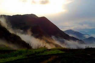 青山,典故