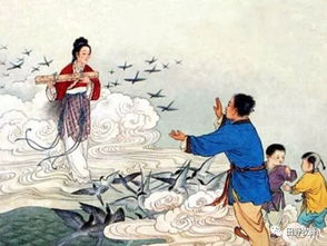 白头偕老,典故