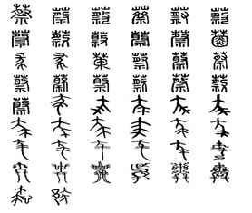 蔡字典故
