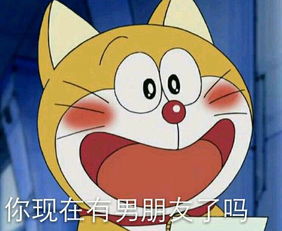肠胃猫典故