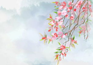 与海棠有关的典故,海棠泣血的典故,大鱼海棠的典故