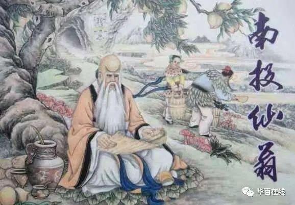 桢干的典故