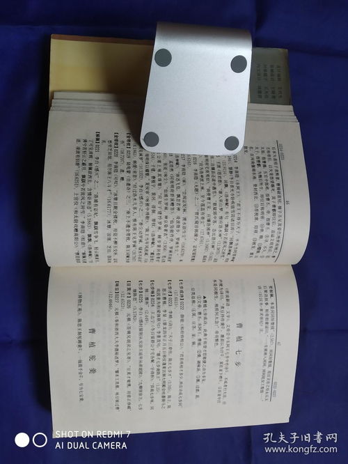 唐诗典故辞典