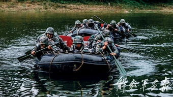 纹丝不动典故