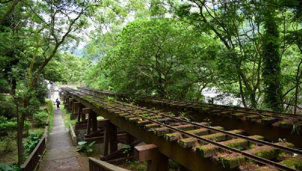 林田山林场