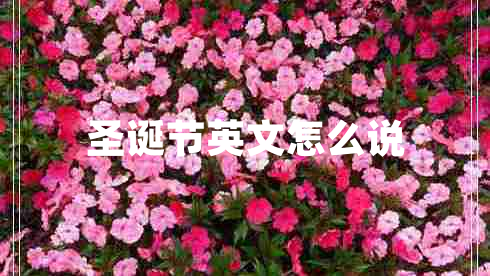 圣诞节英文怎么说