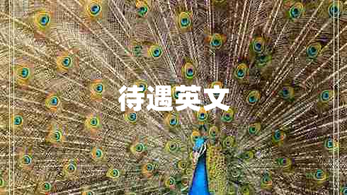 待遇英文