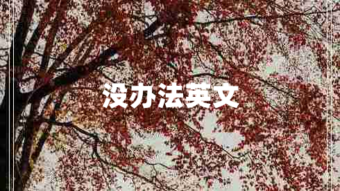 没办法英文