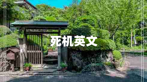 死机英文