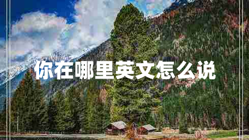 你在哪里英文怎么说