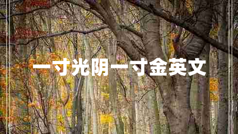 一寸光阴一寸金英文