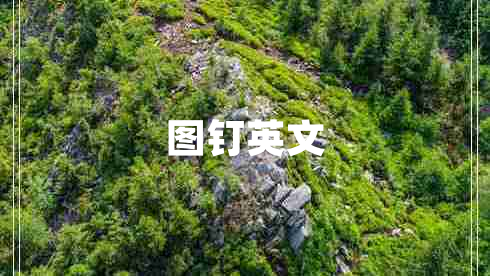 图钉英文