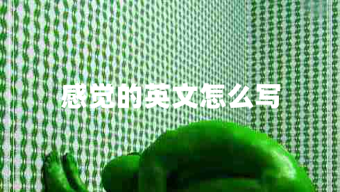 感觉的英文怎么写