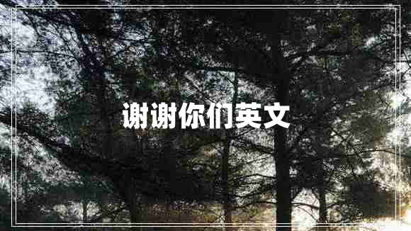 谢谢你们英文