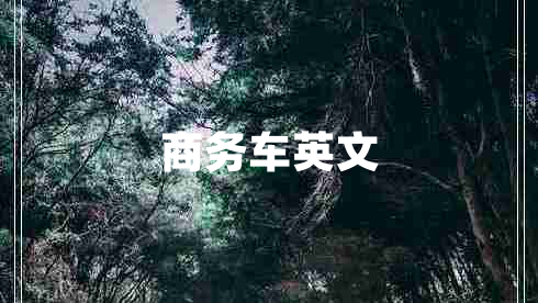 商务车英文