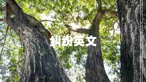 纠纷英文