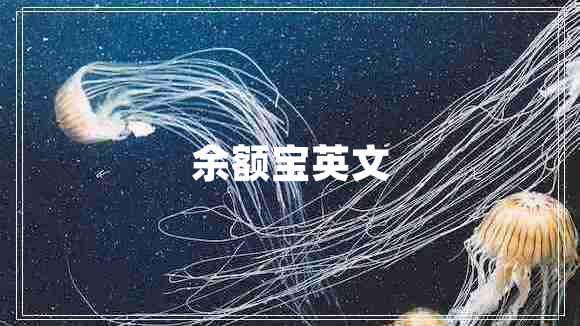 余额宝英文