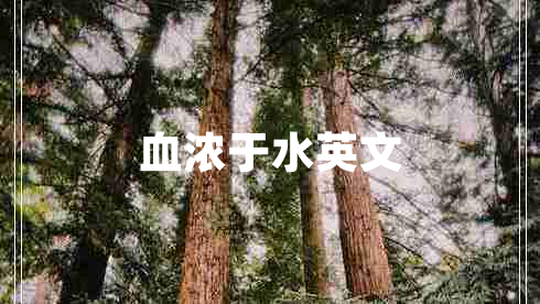 血浓于水英文