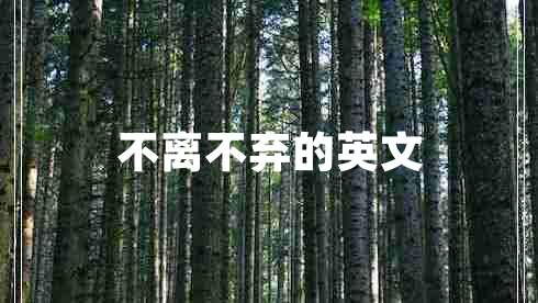 不离不弃的英文