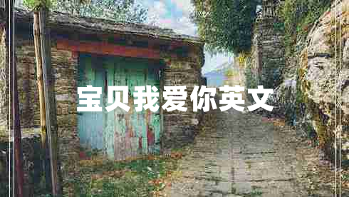 宝贝我爱你英文