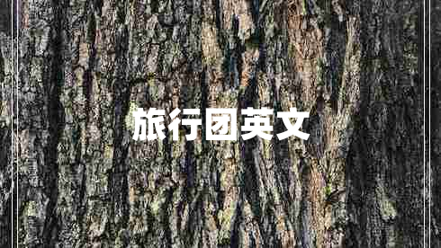 旅行团英文