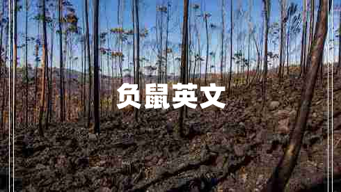 负鼠英文