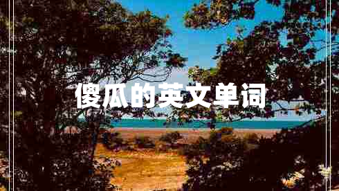 傻瓜的英文单词
