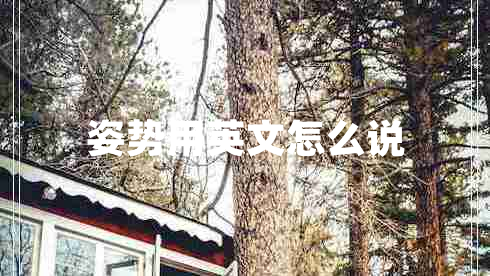 姿势用英文怎么说
