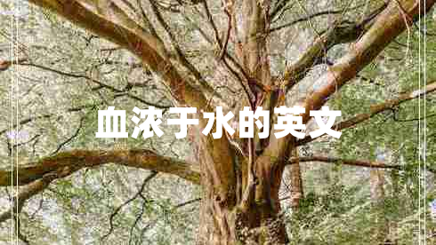血浓于水的英文