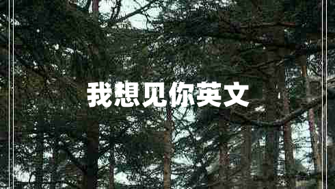 我想见你英文