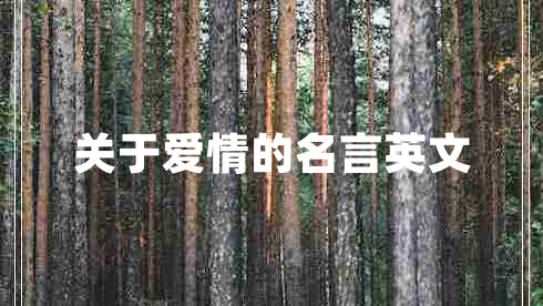 关于爱情的名言英文