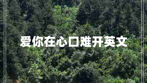 爱你在心口难开英文