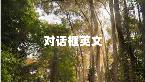 对话框英文