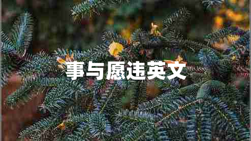事与愿违英文
