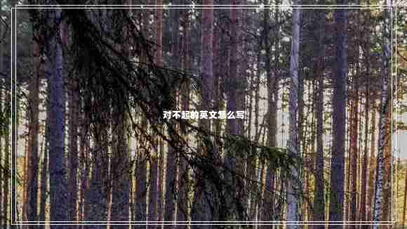 对不起的英文怎么写