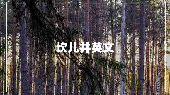 坎儿井英文