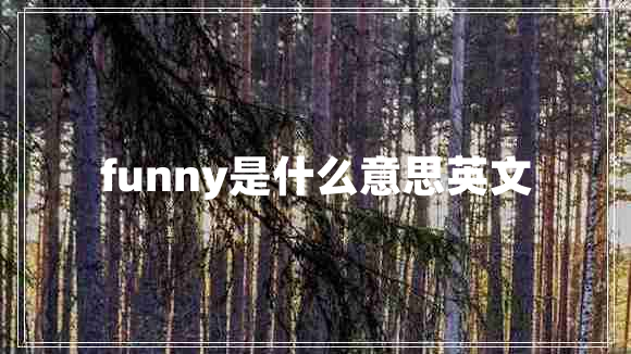 funny是什么意思英文 funny是什么意思英文