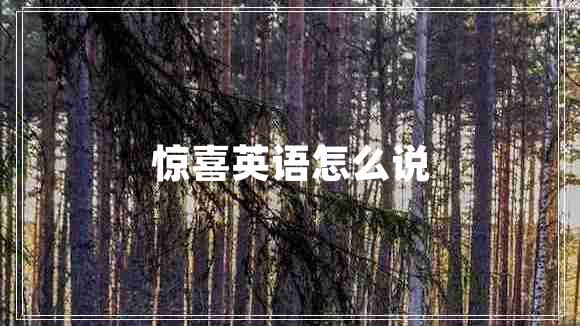 惊喜英语怎么说