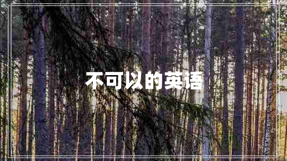 不可以的英语