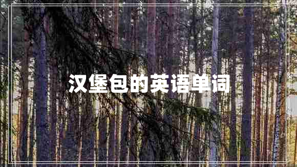 汉堡包的英语单词