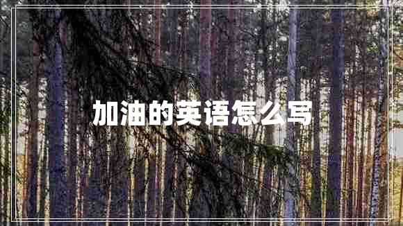 加油的英语怎么写