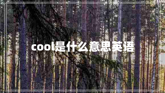 cool是什么意思英语