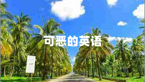 可恶的英语