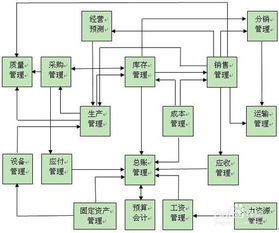 写一个创业策划方案
