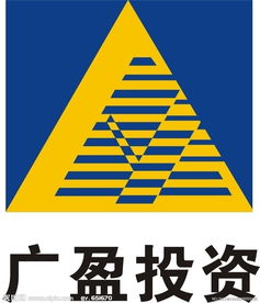 平台投资策划方案