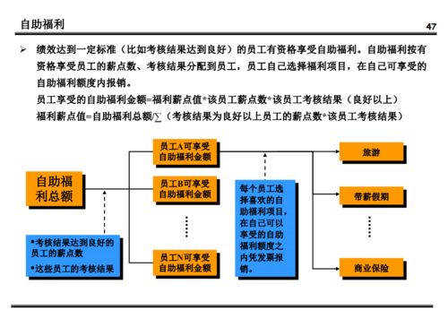 公司管理体系策划方案