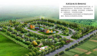 帐篷营地策划方案