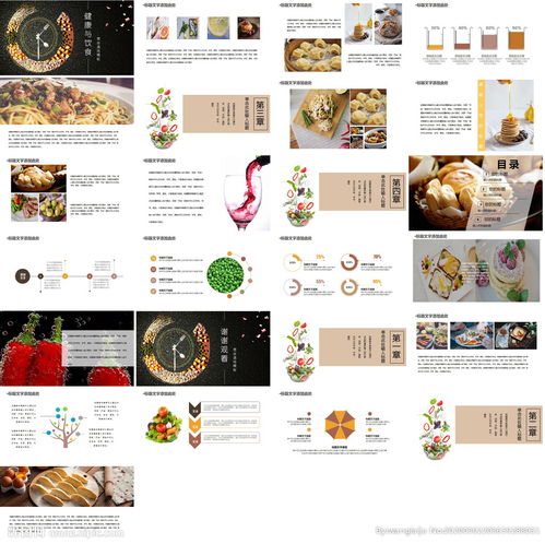食品策划方案ppt