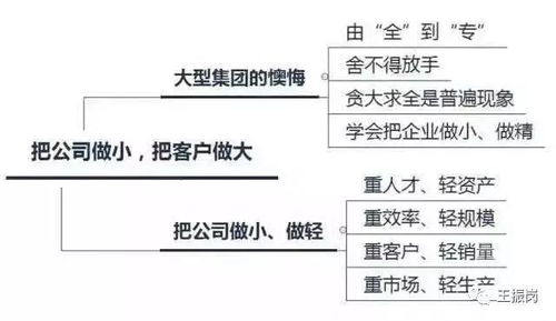 联盟策划方案流程