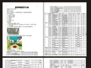 夏天活动策划方案